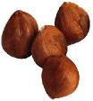 Filberts