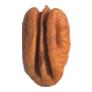 PecanLarge